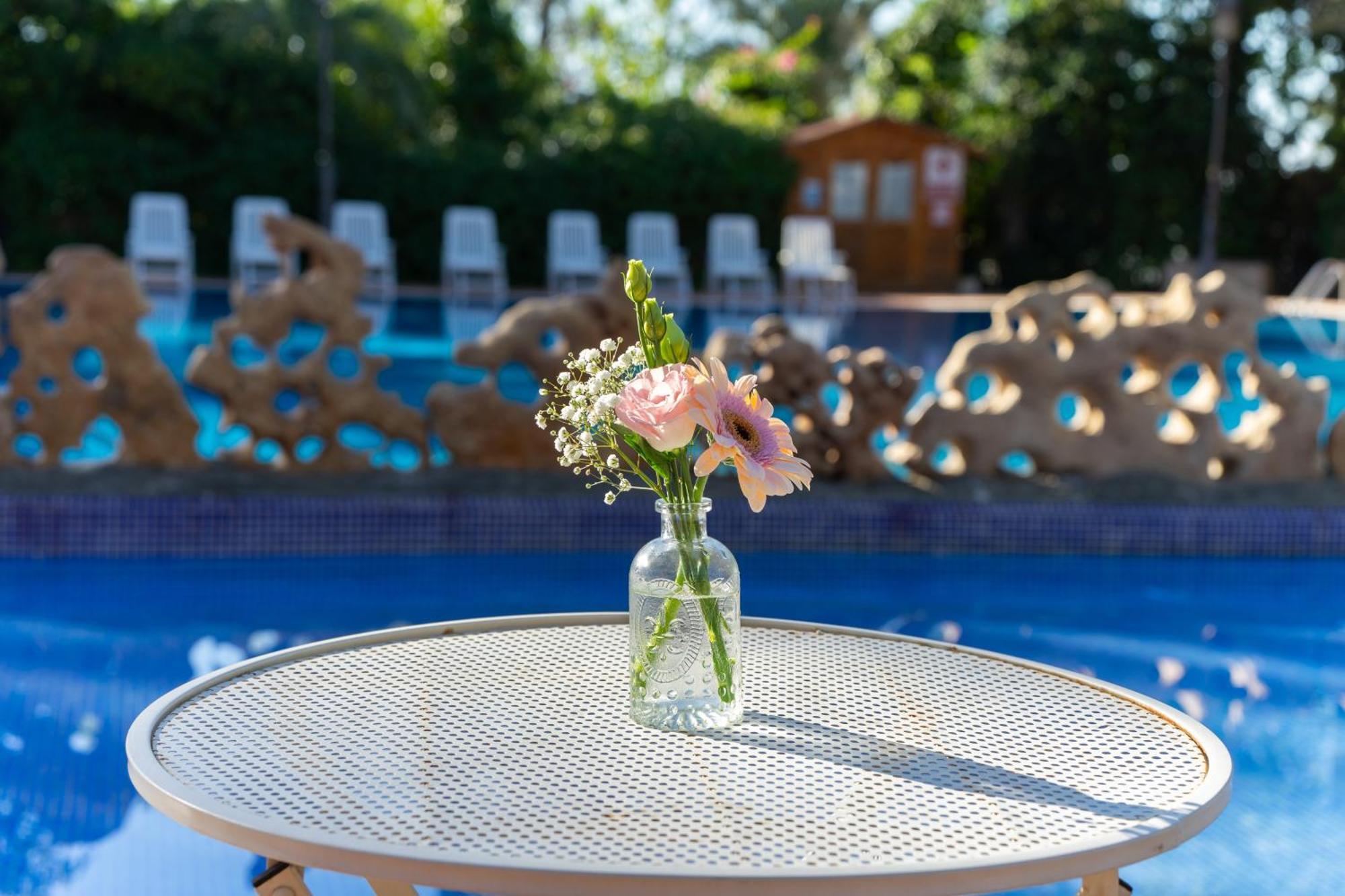 קרביינטה Las Palmeras מראה חיצוני תמונה